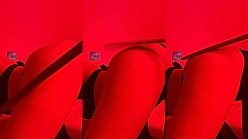 collage_0_02a8a337-3487-41a6-beae-3b43626de1e0.jpg