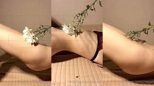 collage_0_5976685d-4a62-4109-b16b-dc0a0ab3f1c5.jpg