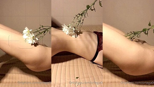 collage_0_e7a18403-df62-4bf5-bc63-7d8e932d0c3d.jpg